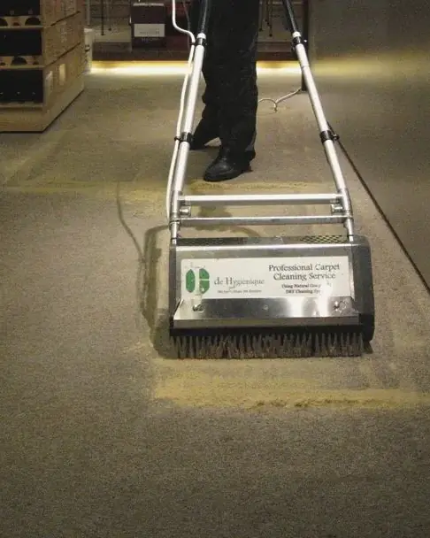 De Hygienique at work